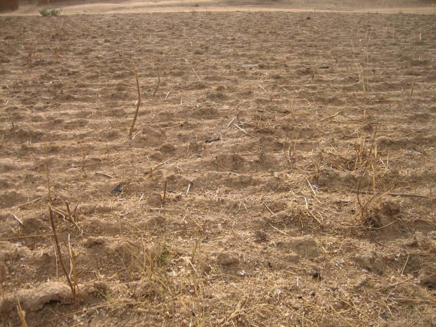 Le terrain vide acheté en 2014 à Saaba